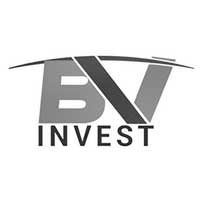 logo-bv logo-bv